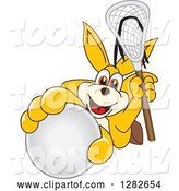 Vector Illustration of a Cartoon Kangaroo Mascot Holding up a Lacrosse Ball and Stick by Mascot Junction
