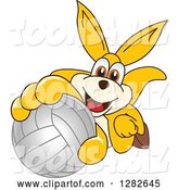 Vector Illustration of a Cartoon Kangaroo Mascot Holding up or Catching a Volleyball by Mascot Junction