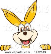 Vector Illustration of a Cartoon Kangaroo Mascot Smiling over a Sign by Mascot Junction