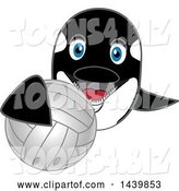 Vector Illustration of a Cartoon Killer Whale Orca Mascot Grabbing a Volleyball by Toons4Biz