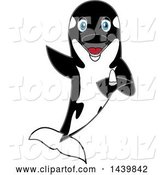 Vector Illustration of a Cartoon Killer Whale Orca Mascot Holding a Tooth by Mascot Junction