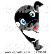 Vector Illustration of a Cartoon Killer Whale Orca Mascot Looking Around a Sign by Mascot Junction