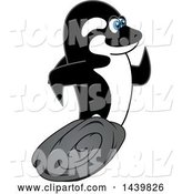 Vector Illustration of a Cartoon Killer Whale Orca Mascot Running by Mascot Junction