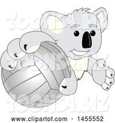 Vector Illustration of a Cartoon Koala Bear Mascot Grabbing a Volleyball by Mascot Junction