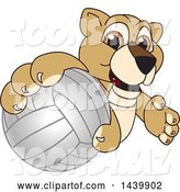 Vector Illustration of a Cartoon Lion Cub School Mascot Grabbing a Volleyball by Mascot Junction