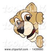 Vector Illustration of a Cartoon Lion Cub School Mascot Looking Around a Sign by Mascot Junction