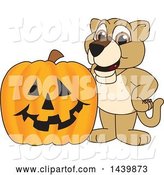 Vector Illustration of a Cartoon Lion Cub School Mascot with a Halloween Pumpkin by Mascot Junction