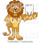 Vector Illustration of a Cartoon Lion Mascot Holding a Tooth by Mascot Junction