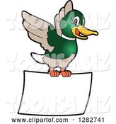 Vector Illustration of a Cartoon Mallard Duck School Mascot Flying with a Blank Sign by Mascot Junction