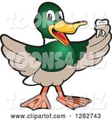 Vector Illustration of a Cartoon Mallard Duck School Mascot Holding a Tooth by Mascot Junction