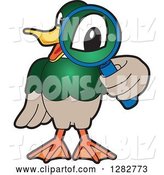 Vector Illustration of a Cartoon Mallard Duck School Mascot Looking Through a Magnifying Glass by Mascot Junction