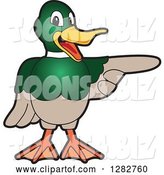 Vector Illustration of a Cartoon Mallard Duck School Mascot Pointing to the Right by Mascot Junction