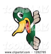 Vector Illustration of a Cartoon Mallard Duck School Mascot Smiling Around a Sign by Mascot Junction