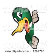Vector Illustration of a Cartoon Mallard Duck School Mascot Smiling Around a Sign by Toons4Biz