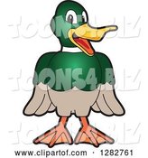 Vector Illustration of a Cartoon Mallard Duck School Mascot Smiling by Mascot Junction