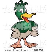 Vector Illustration of a Cartoon Mallard Duck School Mascot with Funky Hair by Mascot Junction