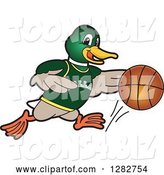 Vector Illustration of a Cartoon Mallard Duck School Sports Mascot Dribbling a Basketball by Toons4Biz