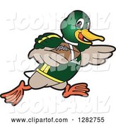 Vector Illustration of a Cartoon Mallard Duck School Sports Mascot Running with an American Football by Mascot Junction