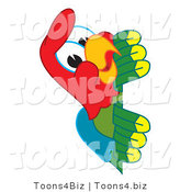 Vector Illustration of a Cartoon Parrot Mascot Peeking by Mascot Junction