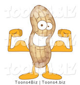 Vector Illustration of a Cartoon Peanut Mascot Flexing by Mascot Junction