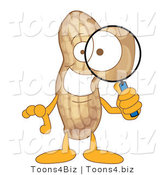 Vector Illustration of a Cartoon Peanut Mascot Using a Magnifying Glass by Toons4Biz