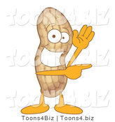Vector Illustration of a Cartoon Peanut Mascot Waving and Pointing by Mascot Junction
