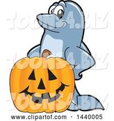 Vector Illustration of a Cartoon Porpoise Dolphin School Mascot with a Halloween Jackolantern Pumpkin by Mascot Junction