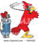 Vector Illustration of a Cartoon Red Cardinal Bird Mascot Golfing by Mascot Junction