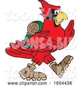 Vector Illustration of a Cartoon Red Cardinal Bird Mascot Hiking by Mascot Junction