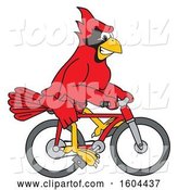 Vector Illustration of a Cartoon Red Cardinal Bird Mascot Riding a Bicycle by Toons4Biz