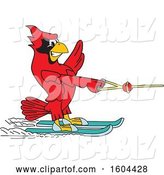 Vector Illustration of a Cartoon Red Cardinal Bird Mascot Water Skiing by Mascot Junction