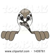 Vector Illustration of a Cartoon Sandpiper Bird School Mascot Looking over a Sign by Mascot Junction