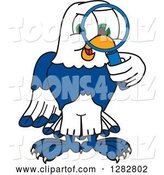 Vector Illustration of a Cartoon Seahawk Mascot Looking Through a Magnifying Glass by Mascot Junction