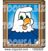 Vector Illustration of a Cartoon Seahawk Mascot Portrait by Mascot Junction