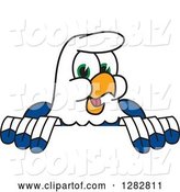 Vector Illustration of a Cartoon Seahawk Mascot Smiling over a Sign by Mascot Junction