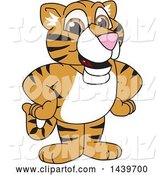 Vector Illustration of a Cartoon Tiger Cub Mascot by Mascot Junction