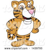 Vector Illustration of a Cartoon Tiger Cub Mascot by Toons4Biz