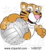 Vector Illustration of a Cartoon Tiger Cub Mascot Grabbing a Volleyball by Mascot Junction