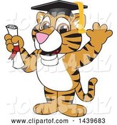 Vector Illustration of a Cartoon Tiger Cub Mascot Graduate by Mascot Junction