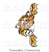 Vector Illustration of a Cartoon Tiger Mascot Looking Around a Sign by Mascot Junction