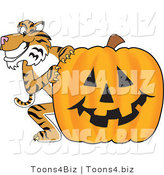 Vector Illustration of a Cartoon Tiger Mascot with a Halloween Pumpkin by Mascot Junction