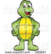 Vector Illustration of a Cartoon Turtle Mascot by Mascot Junction