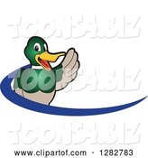 Vector Illustration of a Cartoon Waving Mallard Duck School Mascot and Blue Dash Logo by Mascot Junction