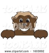 Vector Illustration of a Cartoon Wolverine Mascot over a Sign by Mascot Junction