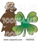 Vector Illustration of a Cartoon Wolverine Mascot with a St Patricks Day Clover by Toons4Biz