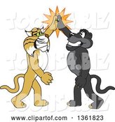 Vector Illustration of Black Panther and Bobcat School Mascots High Fiving, Symbolizing Teamwork and Sportsmanship by Mascot Junction