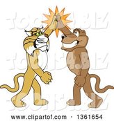 Vector Illustration of Bobcat and Cougar School Mascots High Fiving, Symbolizing Teamwork and Sportsmanship by Toons4Biz