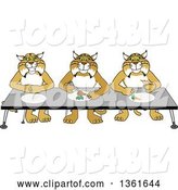 Vector Illustration of Cartoon Bobcat Mascots Eating Together, Symbolizing Respect by Mascot Junction