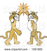 Vector Illustration of Cartoon Bobcat Mascots High Fiving, Symbolizing Pride by Mascot Junction