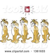 Vector Illustration of Cartoon Bobcat Mascots Walking in Line As a Fire Alarm Goes Off, Symbolizing Safety by Mascot Junction